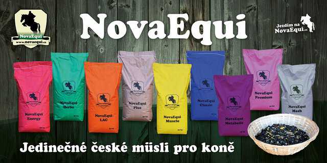 Představení ZNAČEK