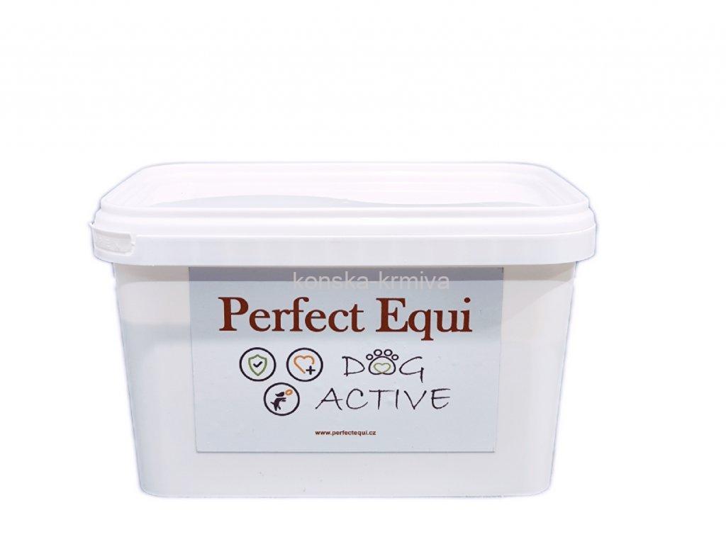 Perfect Equi DOG ACTIVE 500g