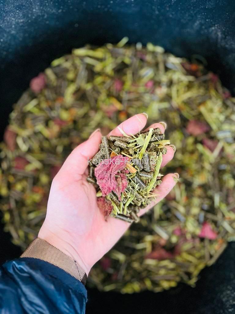 FITMIN HORSE GRAINFREE- 20 KG