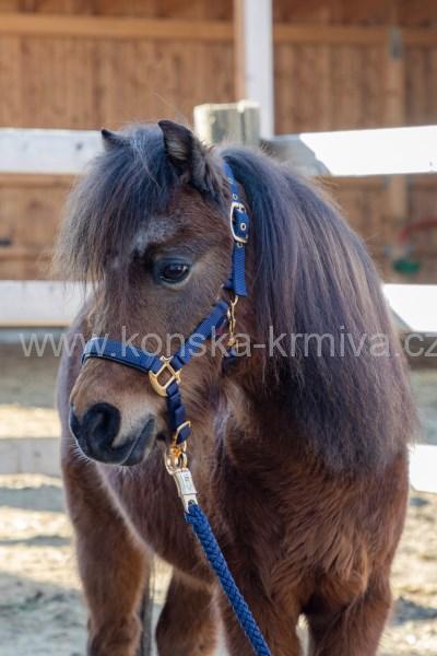 Ohlávka hříběcí Covalliero 