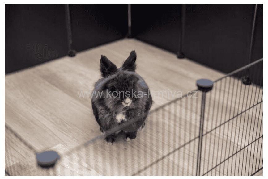 Ohrádka - kovové mřížové stěny