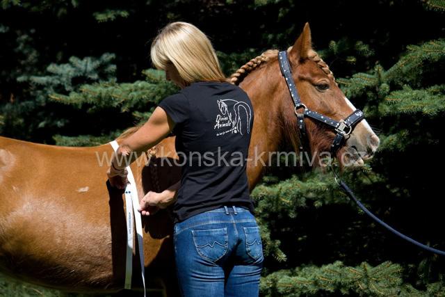 Páska pro zjištění hmotnosti koně