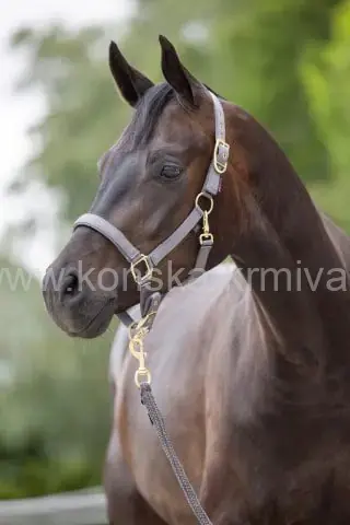 Ohlávka Covalliero Classy - ŠEDÁ - COB