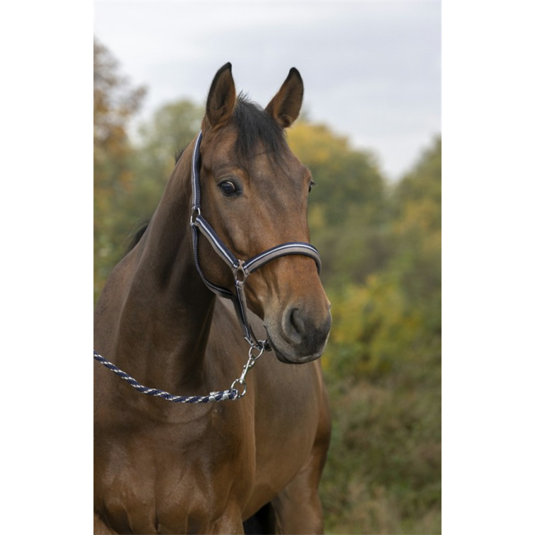 Ohlávkový set Eguitheme