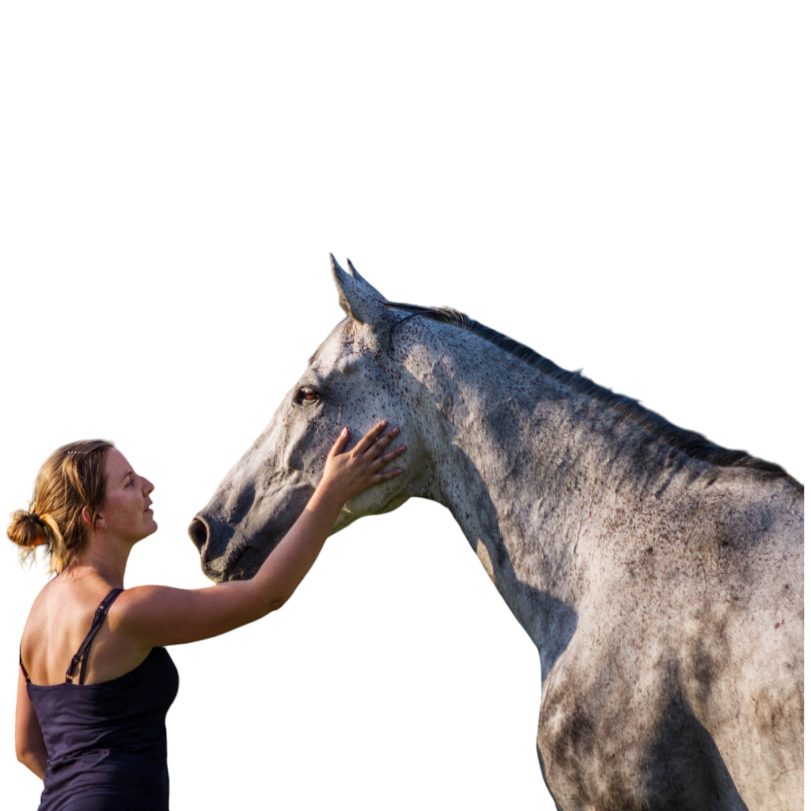 ZAVOLEJTE, NAPIŠTE: