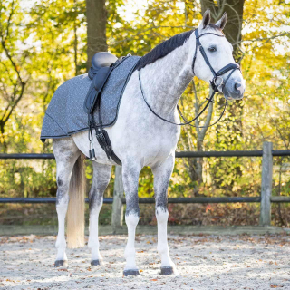 Deka bederní nepromokavá QHP 