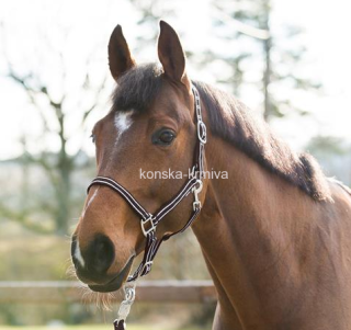 Nylonová ohlávka Horze hnědo-bílá